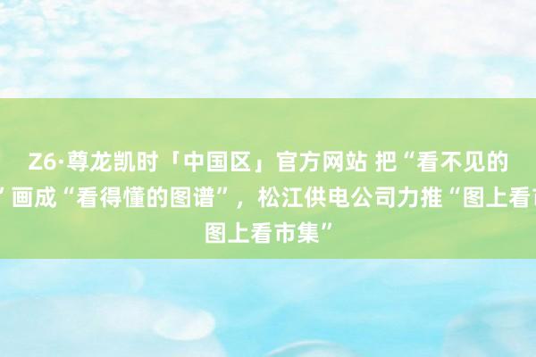 Z6·尊龙凯时「中国区」官方网站 把“看不见的市集”画成“看得懂的图谱”，松江供电公司力推“图上看市集”